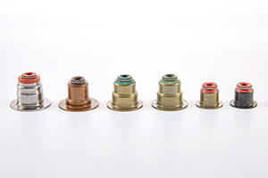 Valve Guide Seals from Aok
